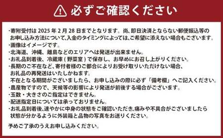 熊本県産いちご 恋みのり2キロ（8パック） 【2026年2月上旬発送開始】