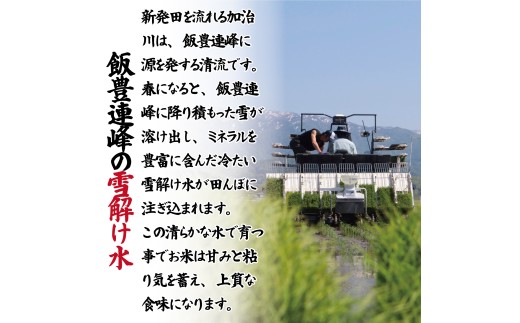 【令和8年産】 つきあかり 10kg コシヒカリ こしひかり 同等以上の食味 ご飯 備蓄 コメ お米 米 こめ 新潟産 新潟米 新潟県 新潟 新発田 新発田市 国産 新発田市産 斗伸 toushin0