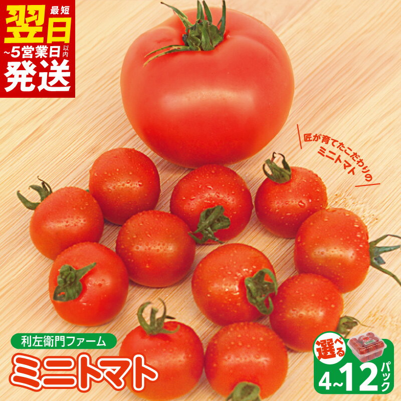 【ふるさと納税】泉州産 新鮮 ミニトマト 選べる 4パック / 6パック / 8パック / 10パック / 12パック 不揃いトマト 1パック / 2パック 産地直送 泉州野菜 やさい トマト 甘い お弁当 サラダ 大阪府 最短 翌日発送 5営業日 泉佐野市 送料無料