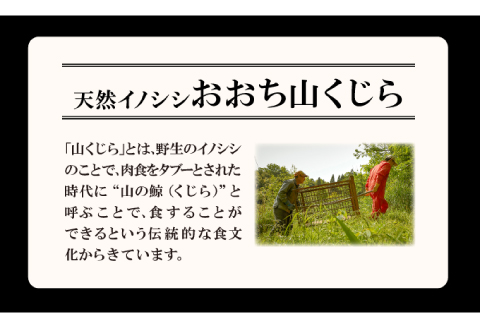 イノシシ肉のハンバーグ 4袋セット【ハンバーグ 75g×8個 2個入り×4袋 肉 猪肉 100%使用 加工品 冷凍食品 冷凍のまま調理可能 ソース不要 調味料不要 簡単調理 ジビエ 蒸し焼き 初心者に