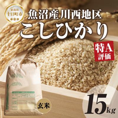 ふるさと納税 十日町市 【令和8年産 新米】 魚沼産 川西 こしひかり 15kg 玄米 新潟県産お米 産地直送 十日町