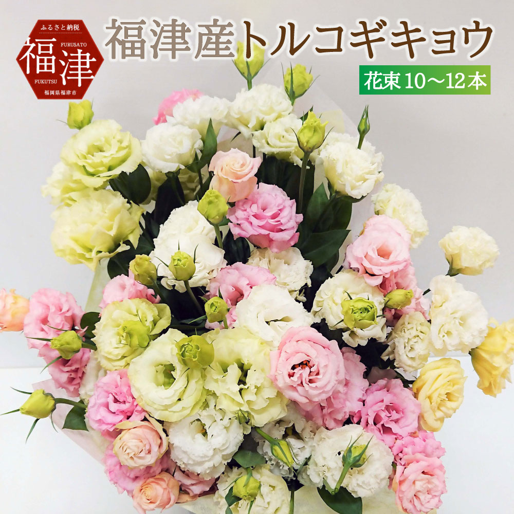 【ふるさと納税】新鮮 お花 福津産 トルコギキョウ 通年発送 あんずの里 10〜12本 花 花束 九州産 国産 旬 送料無料 生花 プレゼント ラッピング お祝い フラワーギフト 記念日 ギフト ユーストマ リシアンサス [F0045]