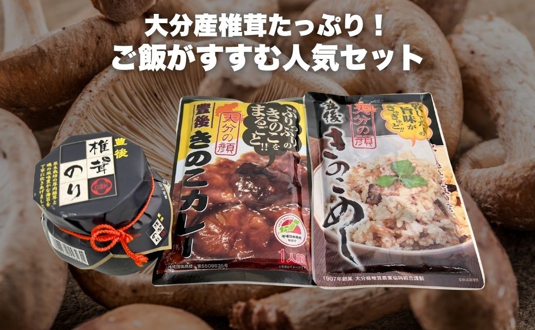 
            豊後きのこカレー＋豊後きのこめし＋椎茸海苔160g
          