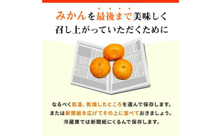 【訳あり】店長おまかせ浜松みかん 約4kg サイズL～2L ミカン 蜜柑 フルーツ  みかん ミカン 三ヶ日 みかん 蜜柑 糖度 静岡 浜松市