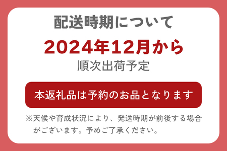 [2024年12月より順次発送] 原木 生しいたけ 1kg｜シイタケ 椎茸 国産 産地直送 おんだファーム 甘楽町 先行予約 [0185]