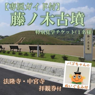 ふるさと納税 斑鳩町 【専属ガイド付】藤ノ木古墳を限定見学　斑鳩の里満喫セット(1名様用)
