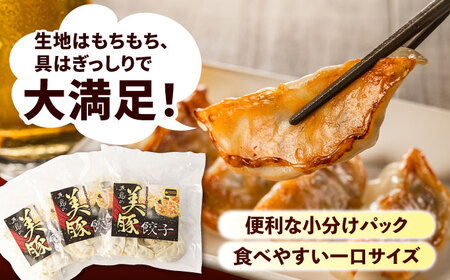 【全6回定期便】美豚餃子15個入×3袋 豚肉 SPFポーク 小分け 国産野菜 冷凍 五島市/長崎フードサービス [PEL009]