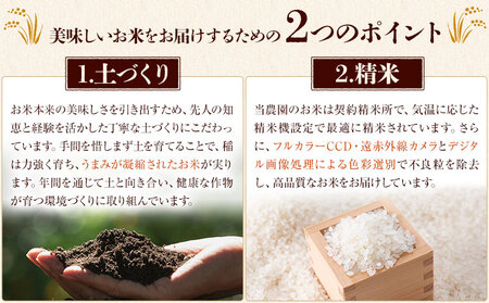 七城のお米 ぴかまる 5kg 真空パッケージ 白米 精米 令和7年産 堀田農場《30日以内に出荷予定(土日祝除く)》お米 熊本県 菊池市 熊本県産 九州産 送料無料