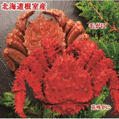 ふるさと納税 根室市 ＜12/21まで年内配送＞★毛がにと花咲がに B-01028