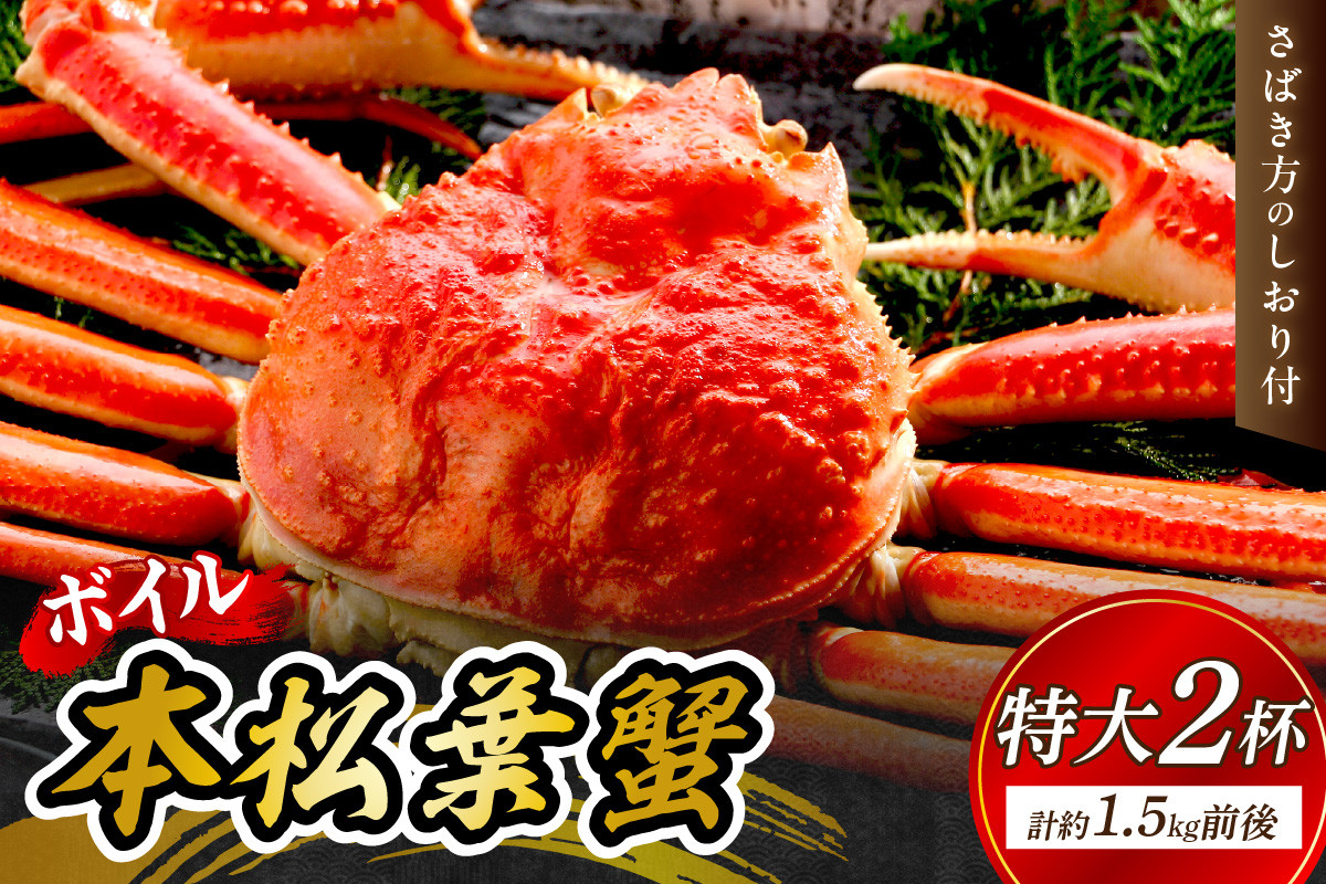 
            【 国産日本海の松葉蟹をボイルでお届け！ 】【先行予約】ボイルでお届け。ボイル本松葉蟹 特大2杯（タグ付き）＜12月10日～2月末までのお届け＞ 国産 カニ 魚介類 海の幸 年内配送 年末年始配送 【097_0729】
          