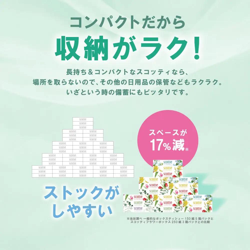 スコッティ ティッシュ 250組 10箱 ティシュー