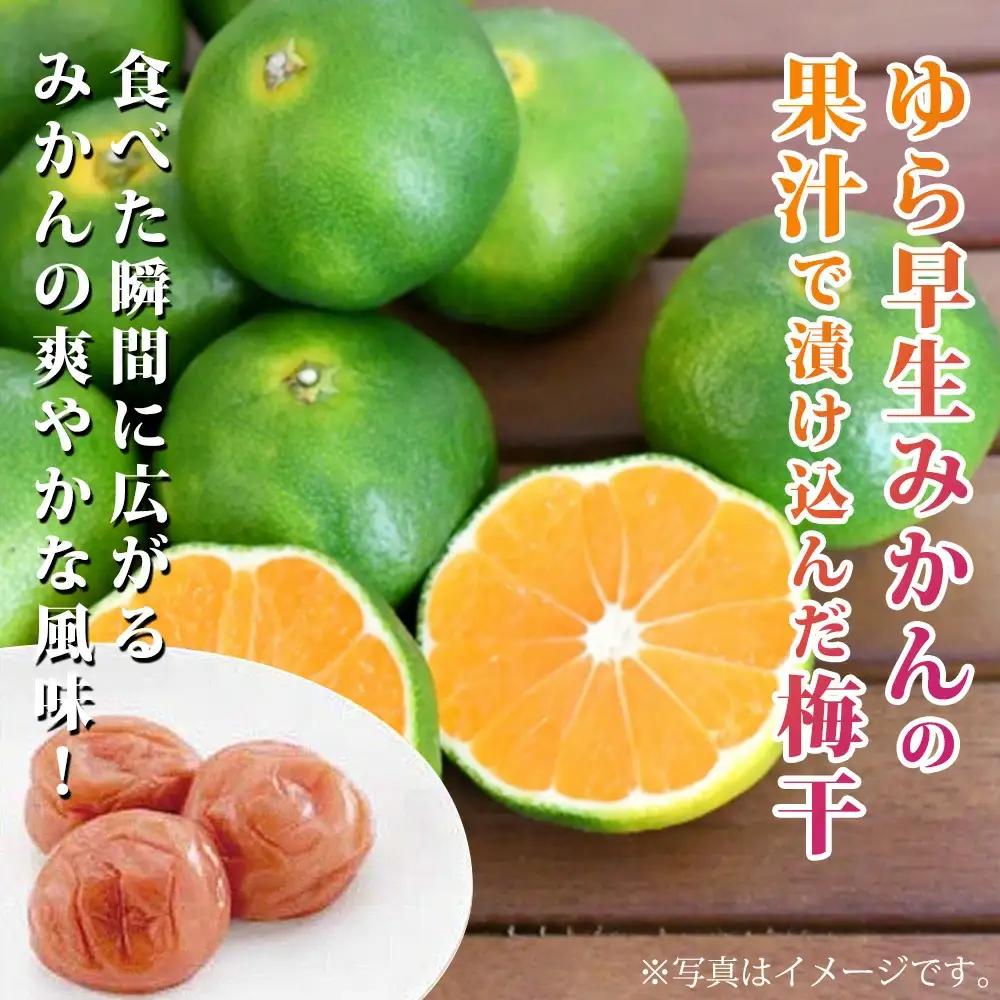 みかんこい梅　yplu005C【yplu005C】