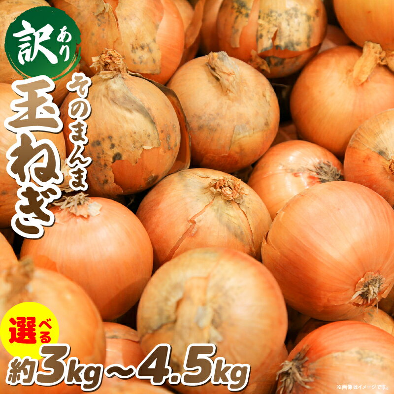 【ふるさと納税】【選べる内容量】【選べる内容量】訳ありそのまんま玉ねぎ 約3kg～4.5kg