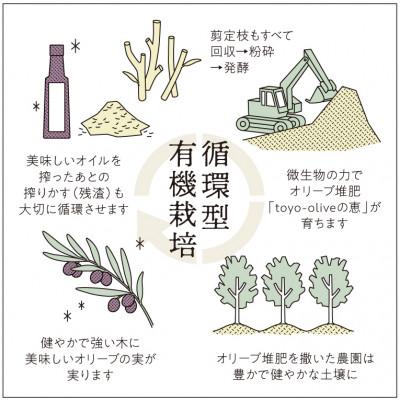 ふるさと納税 小豆島町 【70周年記念】小豆島産 循環型 有機栽培 エキストラバージンオリーブオイル [完熟・ミッション種] |  | 03