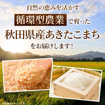 ふるさと納税 秋田市 《令和7年産新米先行受付》定期便3ヶ月 あきたこまち 5kg 白米|15_mge-010503h |  | 03