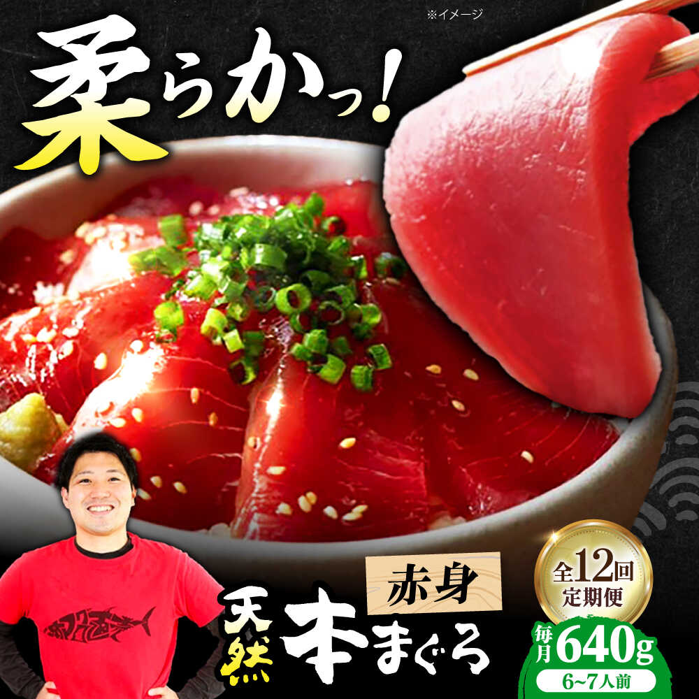 【ふるさと納税】【全12回定期便】極上！たね熟天然本まぐろ赤身(640g) 天然 マグロ 鮪 赤身 刺身 魚 魚介 大阪府高槻市/本まぐろ直売所[AOCE018]