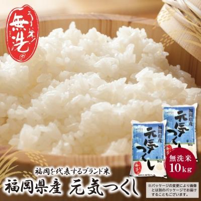 ふるさと納税 福智町 令和7年産 無洗米 元気つくし10kg