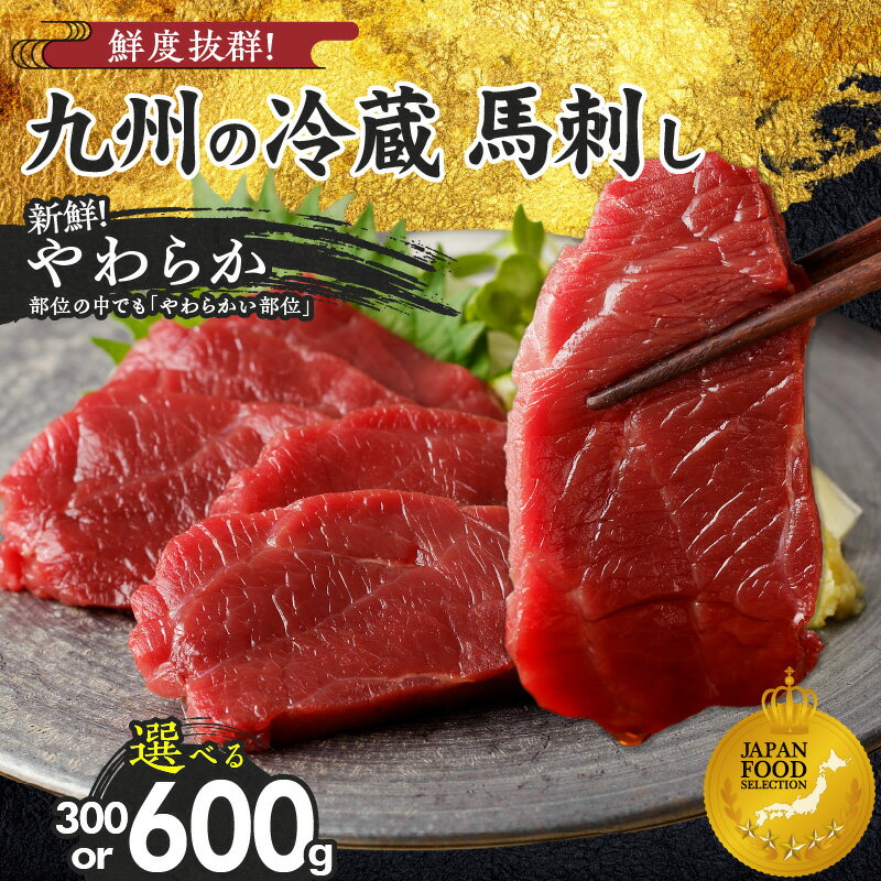 【ふるさと納税】馬刺し 国産 赤身 小分け 選べる 300g 〜 600g (100g×3〜6袋) 新鮮 やわらか 特製 甘口醤油ダレ付 生食用 肉 馬肉 ブロック 真空包装 冷蔵 低カロリー 高たんぱく 創業昭和11年 老舗 お取り寄せ 福岡県 久留米市 送料無料