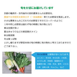 【定期便】合計12回お届け 野菜詰め合わせ 有機野菜・京野菜の『京都やおよし』亀岡・京丹後産 オーガニック 有機JAS 栽培期間農薬不使用 減農薬 ※着日指定不可  ※北海道・沖縄・離島への配送不可