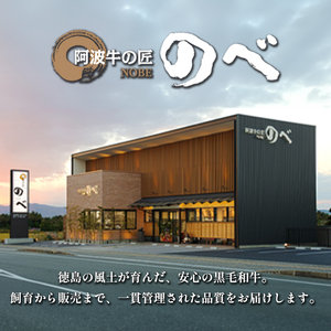 牛肉 国産 阿波牛 焼肉用（モモ・カルビ）500g 冷凍 小松島市