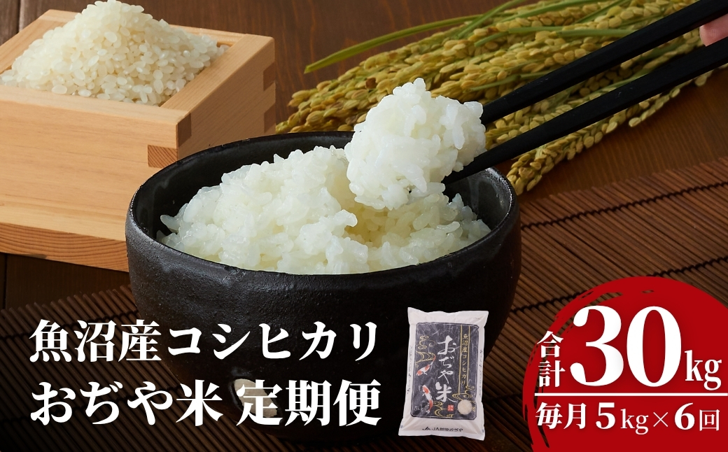 令和7年産魚沼産コシヒカリ定期便 5kg×6回（毎月お届け）（JA魚沼）白米 魚沼 米 定期便
