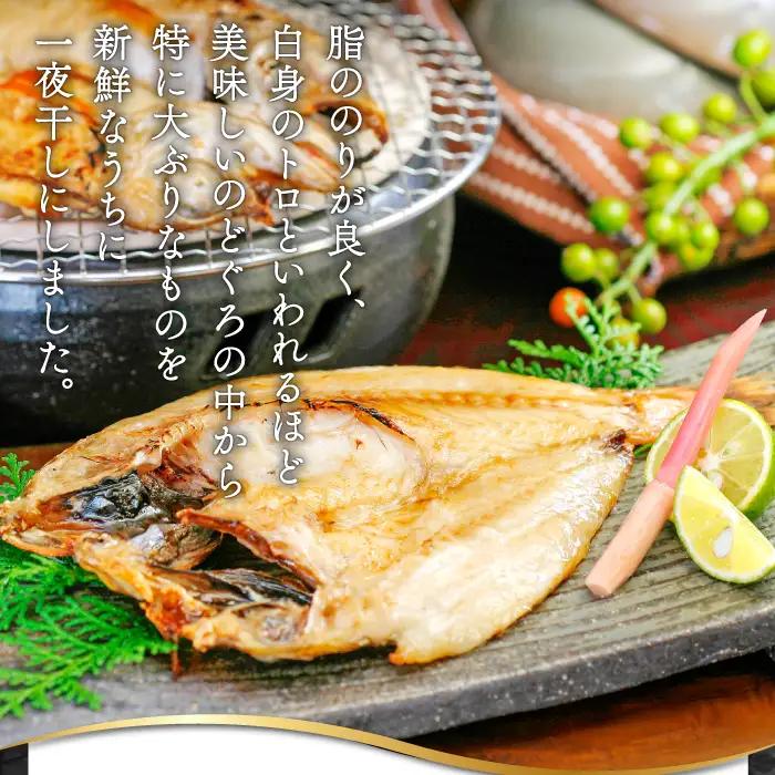 のどぐろ一夜干し 2尾 【4回定期便】【1尾あたり101～120g 2尾 のどぐろ干物 8枚 のどぐろ ノドグロ あかむつ アカムツ 新鮮 干物 一夜干し 個包装 小分け 真空パック 冷凍 贈答 父の