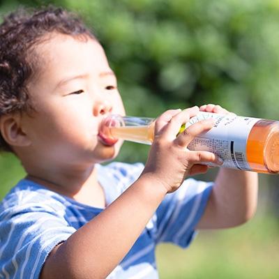 ふるさと納税 忠岡町 老舗酵素メーカー「大和酵素」が作る、 “本物のコンブチャ” (280ml×24本) |  | 03