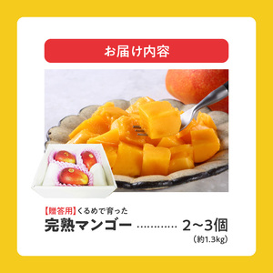 くるめで育った完熟マンゴー(2～3個：約1.3kg)_Fm011