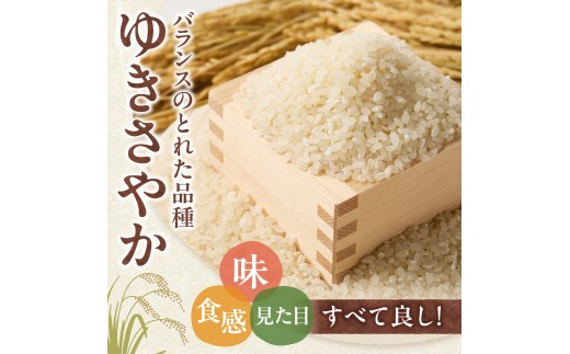 【令和8年度産米】精米ゆきさやか3kg | 北海道産米 精米 白米 米 ブランド米 北海道 当別町
