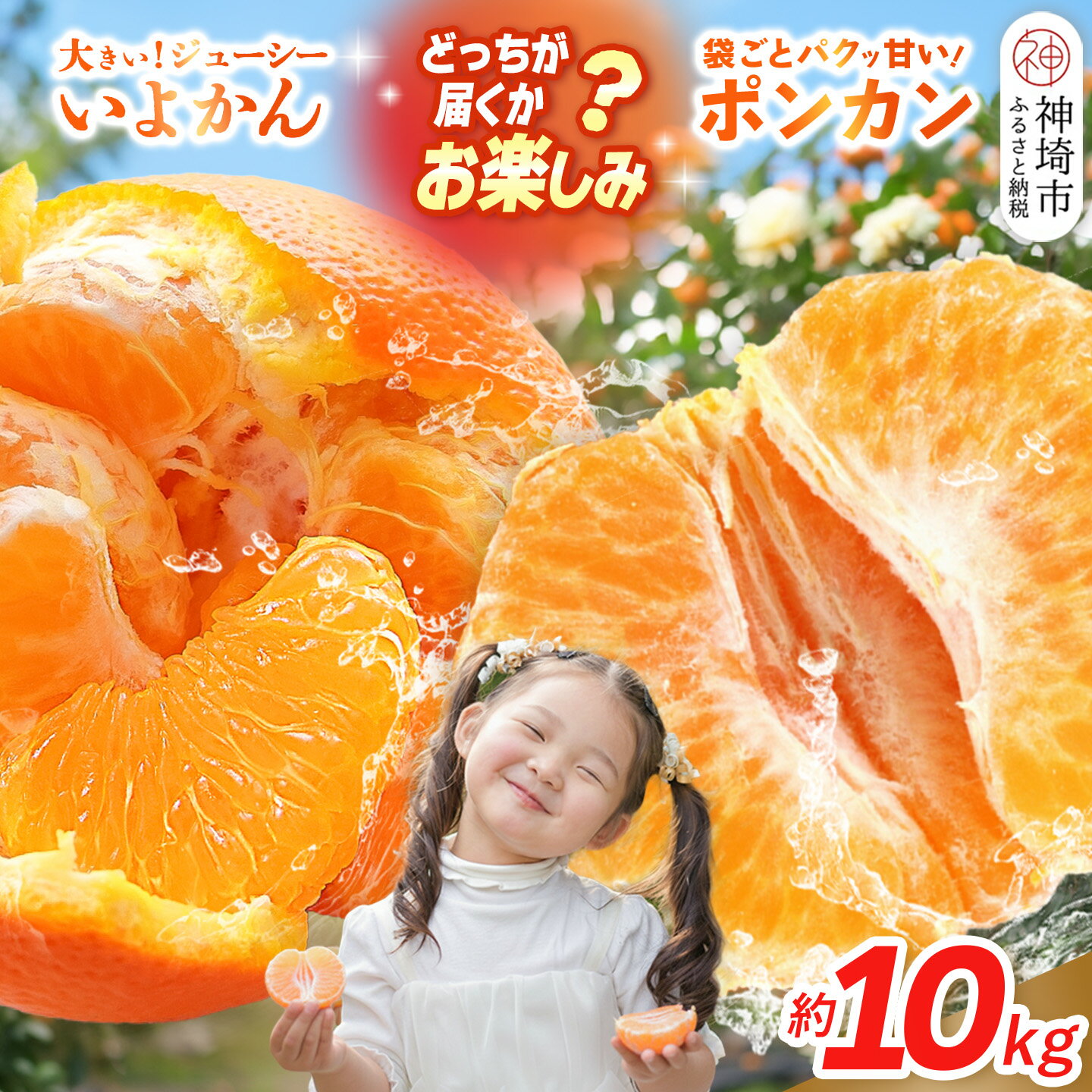 【ふるさと納税】【2027年1月中旬より発送開始】伊予柑orポンカン 約10kg【みかん 柑橘 ぽんかん フルーツ デザート お楽しみ】(H116157)