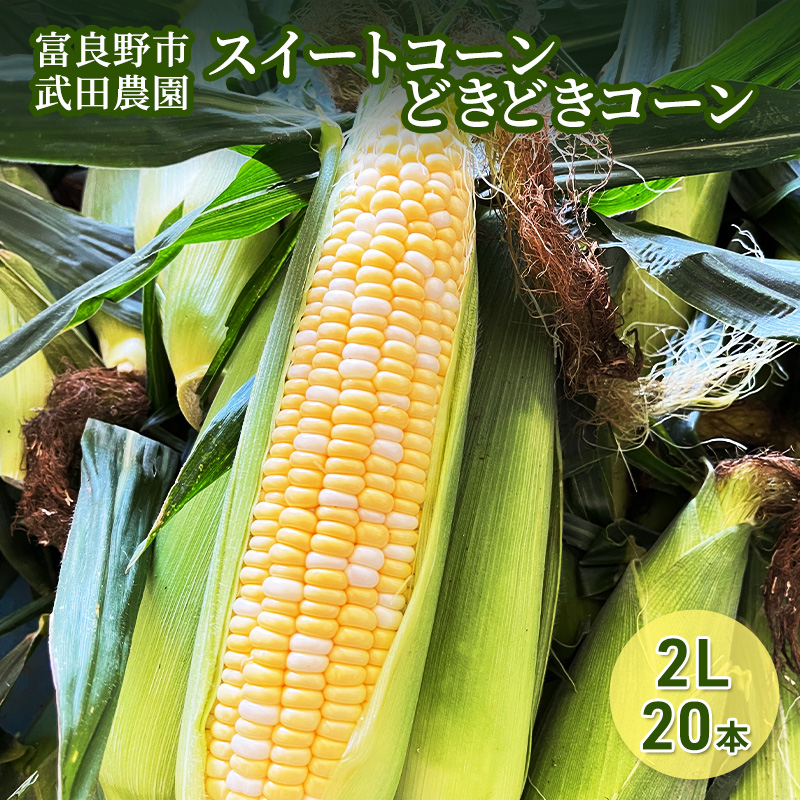 2026年夏発送 ［武田農園とれたて直送］スイートコーン ど