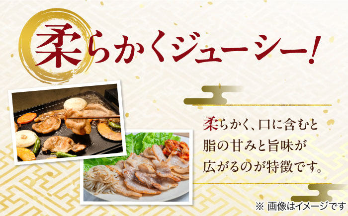 瑞浪ボーノポーク 焼肉用 4種盛りセット (ロース・肩ロース・バラ・小間切れ) 計3.6kg 瑞浪市 / マルチョウ渡辺精肉店 冷凍 小分け 豚肉 国産 [AZCW040] 3.6kg