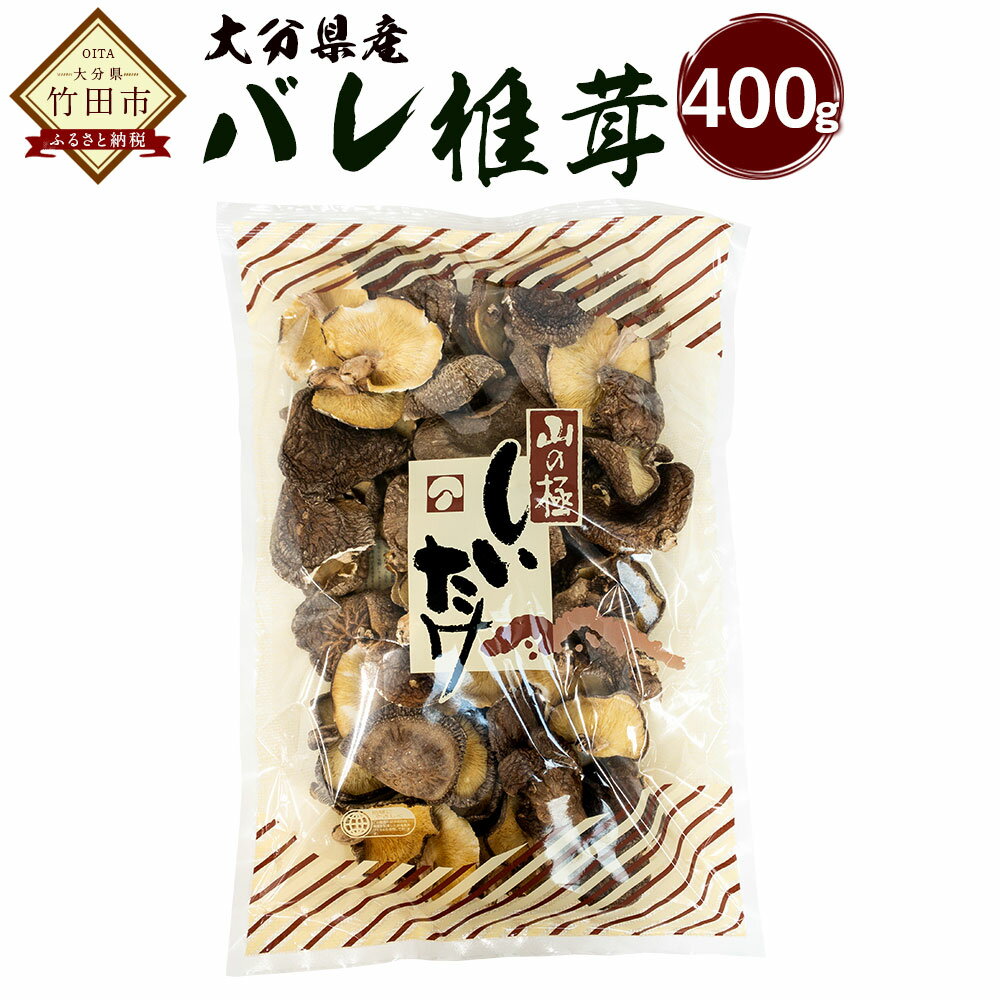【ふるさと納税】大分県産 バレ椎茸 400g 乾しいたけ 椎茸 しいたけ シイタケ きのこ 干し 国産 九州産 だし 原木 FBR10 送料無料