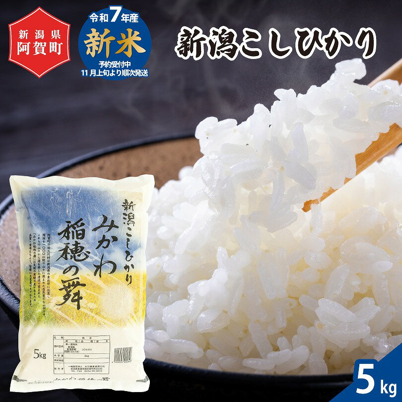 【ふるさと納税】 《新米予約》 米 5kg 《 新潟県産 コシヒカリ みかわ稲穂の舞 》 令和7年産 5kg × 1袋 阿賀 三川 | こしひかり 白米 精米 送料無料 お取り寄せ お米 金賞受賞 ※2025年11月上旬頃より順次発送