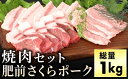 【ふるさと納税】ブランド豚【肥前さくらポーク】 焼肉セット 1kg／肉 お肉 豚肉 ステーキ 赤身 国産 豚トロ バラ 肩ロース バーベキュー やきにく 贈答 佐賀 佐賀県 セット ぶた 豚しゃぶ 特産品 食べ比べ ギフト 冷凍 1kg 贈り物 送料無料 肥前