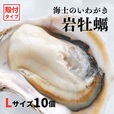【ふるさと納税】【海士のいわがき 殻付き Lサイズ 10個】3kg～4kg 岩牡蠣 いわがき 生食 海士町産 牡蠣 お歳暮