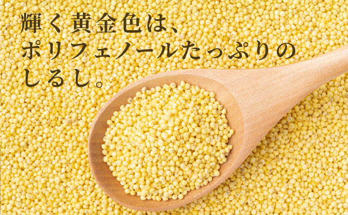 沖縄県波照間島産　日本最南端の島から贈る『もちきび』400g×1袋　とんちぇ農園（農薬・化学肥料不使用）【もちきび 波照間島 沖縄 農薬不使用 国産 雑穀】