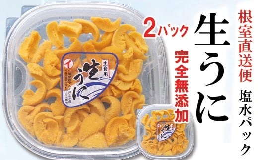 F-71016【12/17まで年内配送】 エゾバフンウニ塩水パック100g×2P