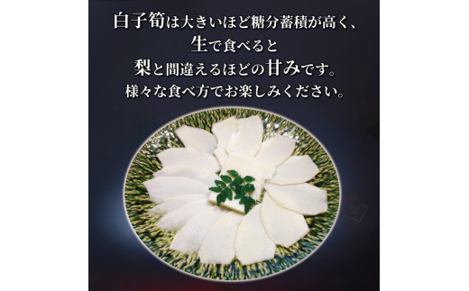冷凍 白子京筍 石清水 1本 2kg 白子筍 筍 たけのこ タケノコ 竹の子 一本丸ごと 早掘り 国産 高級 野菜 甘み 糖分 人気 おすすめ 男山 京都 八幡 石清水八幡宮 京都辻農園