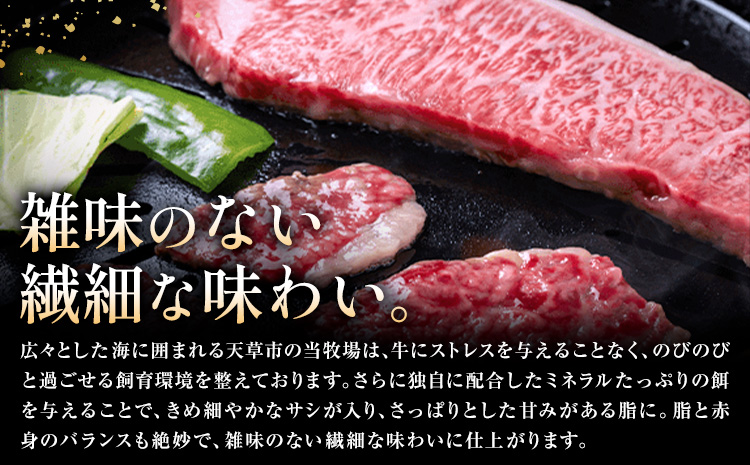 黒毛和牛 焼肉 ロース カルビ 切り落とし 500g A4 ～ A5 ランク 田中畜産《30日以内に出荷予定(土日祝除く)》 ランプ ミスジ イチボ 特上 ミシュラン 国産 肉 牛肉 黒牛 天草 苓北