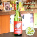 【ふるさと納税】香り系の本格焼酎 BEYOND GODAI 1800ml×2本 BSR-521 焼酎 芋焼酎 芋 イモ 香り系 マスカット パイナップル ビヨンド ゴダイ 山元酒造 鹿児島県 薩摩川内市 送料無料