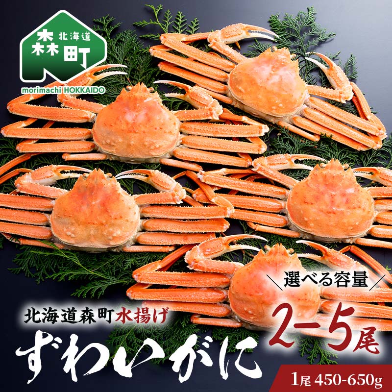 【ふるさと納税】【選べる容量・選べる数量】ずわいがに（450g～650g）2尾～5尾 北海道森町水揚げ かに カニ 蟹 ガニ がに 森町 ふるさと納税 北海道 ずわいかに ズワイガニ mr1-0630var