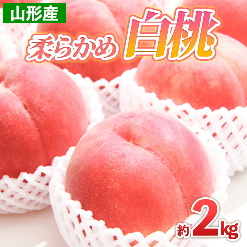 【ふるさと納税】山形産 柔らかめ 白桃 約2kg 【令和7年産先行予約】FS24-788