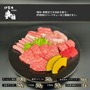 【ふるさと納税】おひとりさま！伊賀肉　BBQセット