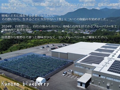 くまのブルーベリー(冷凍) 熊野精工 熊野 果物 フルーツ デザート おやつ スムージー