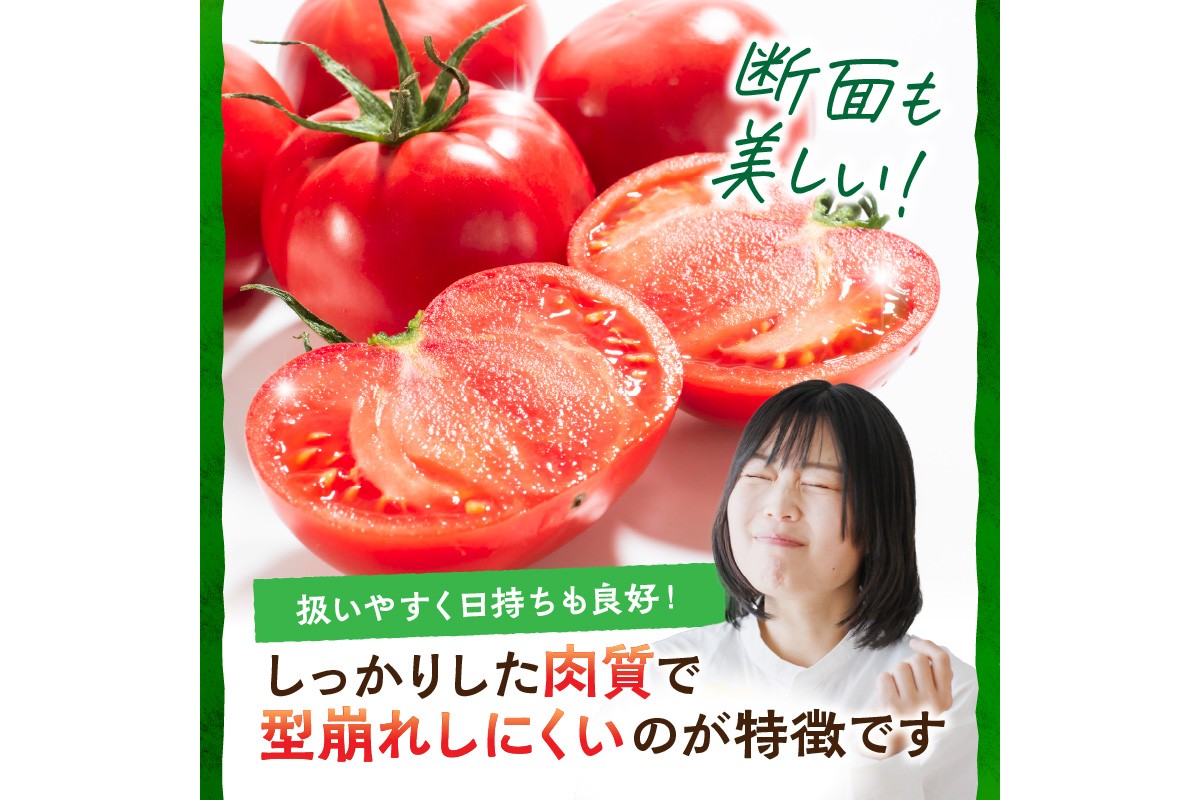 【先行予約】京丹後産・京トマト 2kg（8～10玉） 春夏発送（2026年5月中旬～発送）