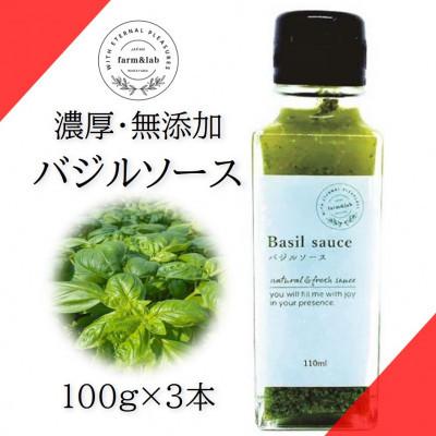 ふるさと納税 印南町 濃厚・無添加　バジルソース(ジェノベーゼソース)　瓶　100g×3本