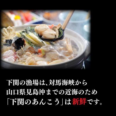 ふるさと納税 下関市 あんこう鍋 400g AU302-NT-x |  | 01