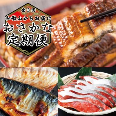 ふるさと納税 北山村 【毎月定期便】和歌山からお届け おさかな定期便 サバ・ウナギ・サケ【tkb131】全3回