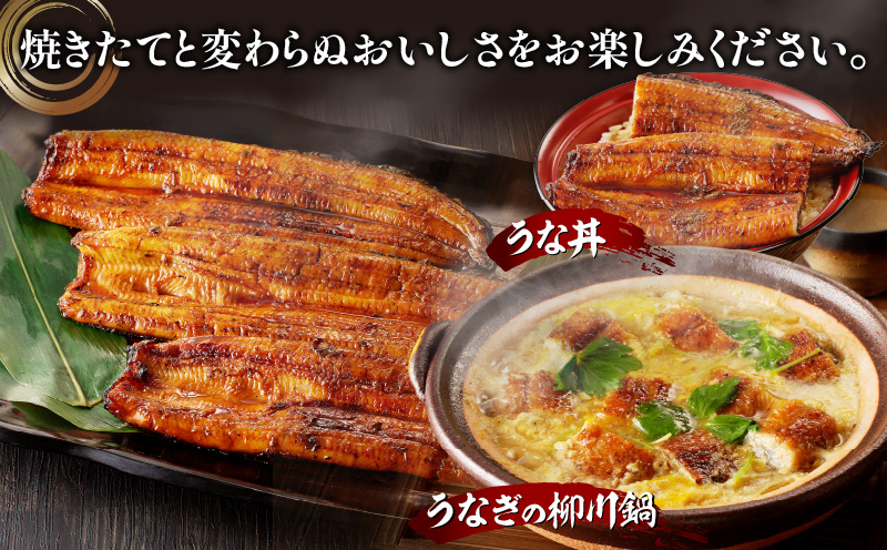 【宮崎県産】特大うなぎ備長炭手焼き蒲焼3尾(660g)